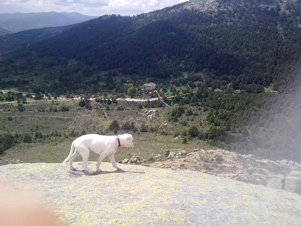 Hotel Rural Las Postas Navacerrada Kültér fotó